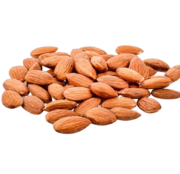 Lorem Ipsum is simply dummy 8